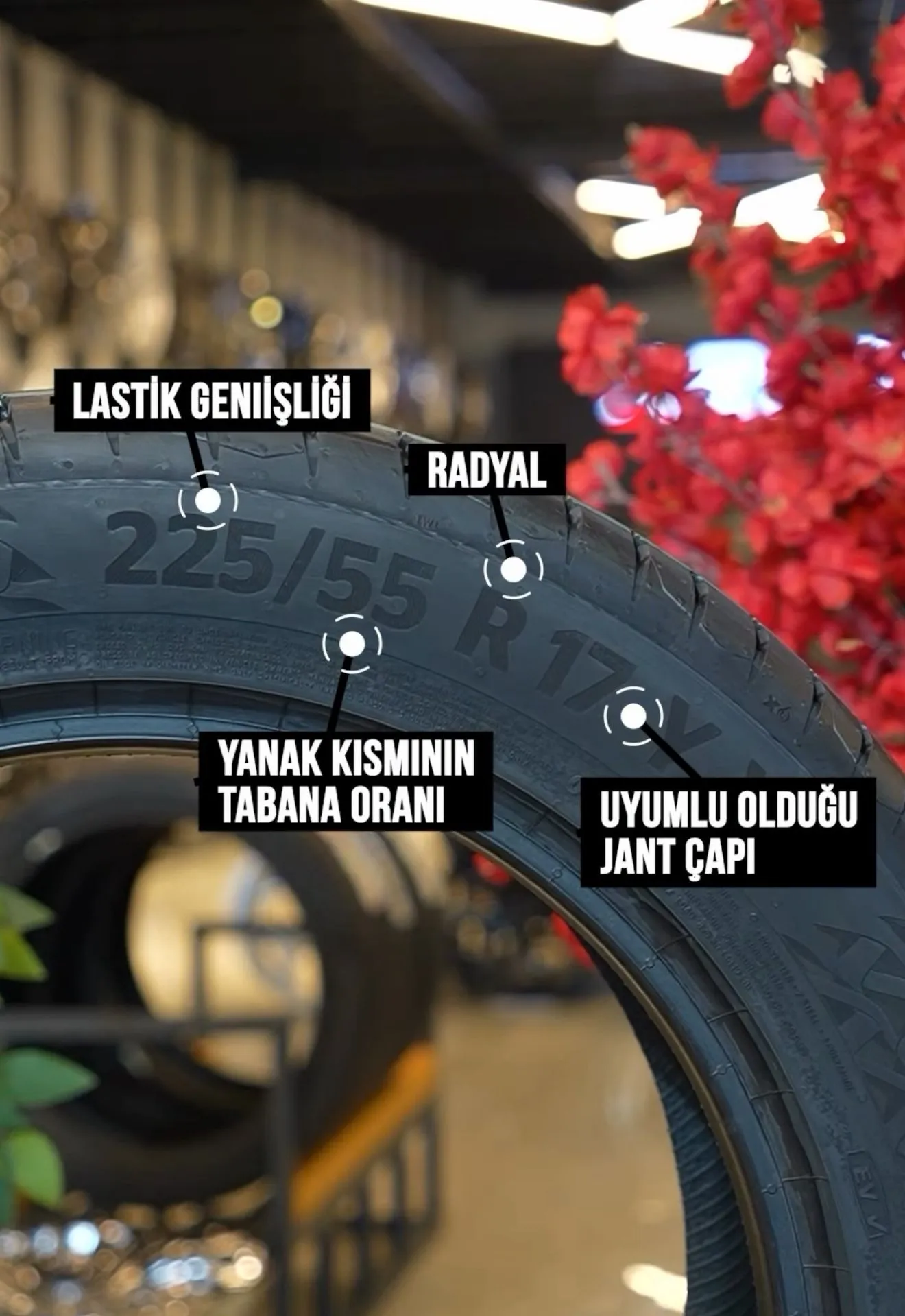 Araç Güvenliği ve Lastik Bakımının Önemi
